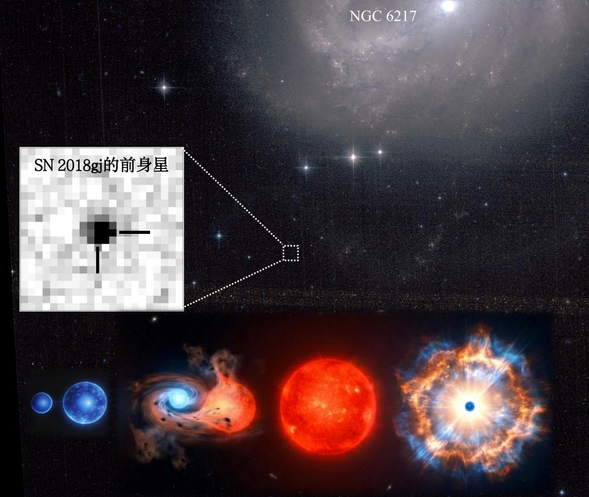 为II-P型超新星“寻亲”：中